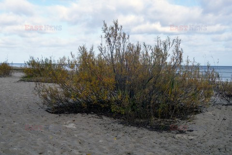 Pomorze MarMi