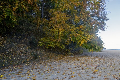 Pomorze MarMi