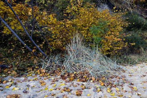 Pomorze MarMi