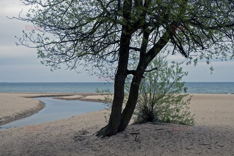 Pomorze MarMi