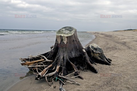 Pomorze MarMi