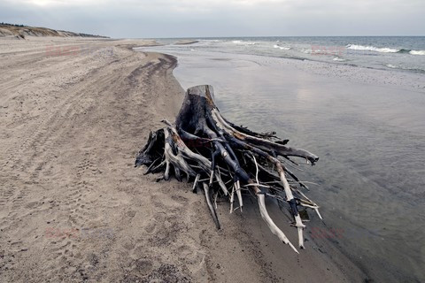 Pomorze MarMi