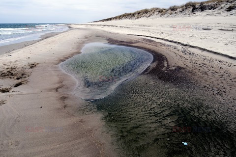 Pomorze MarMi