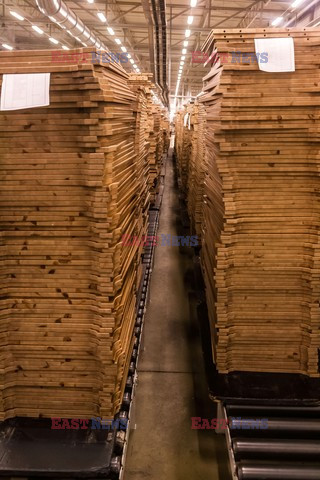 Zaklady produkcji mebli SWEDWOOD IKEA w Goleniowie