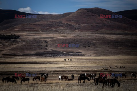 Wyścigi konne w Lesotho