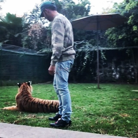 Znani w social mediach 8