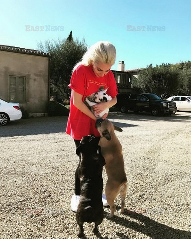 Znani w social mediach 9