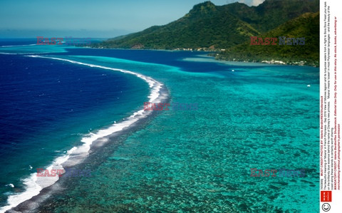 Podróże - Polinezja Francuska - urlopowy raj