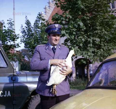 Wyjście awaryjne