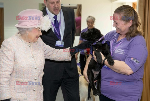 Królowa Elźbieta odwiedziła Canine Partners