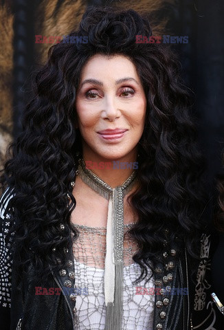 Cher na imprezie Free The Wild