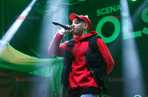 Olsztyn Green Festival
