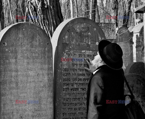 Judaica WMZ