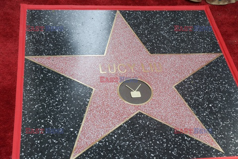 Lucy Liu otrzymała gwiazdę na Bulwarze Sławy