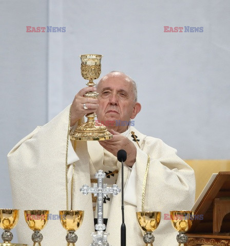 Papież Franciszek sprawuje mszę w Albano