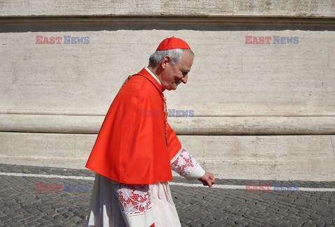 Papież Franciszek powołał nowych kardynałów