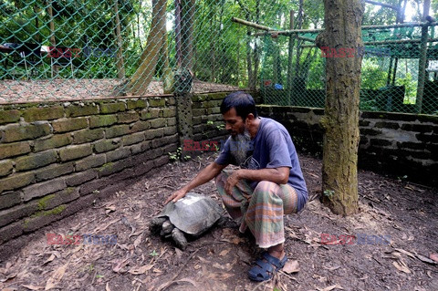 Centrum ochrony żółwi w Bangladeszu