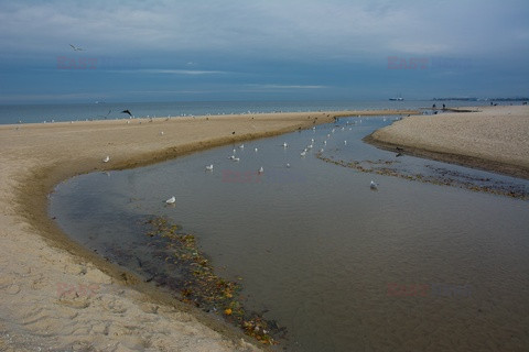 Pomorze MarMi