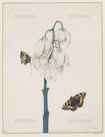 Victoria and Albert Museum sztuka