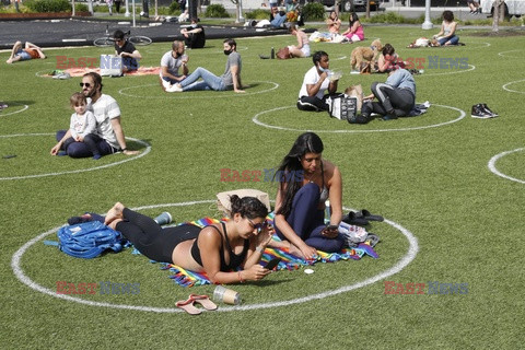 Wyznaczone miejsca na piknik w parku w Nowym Jorku