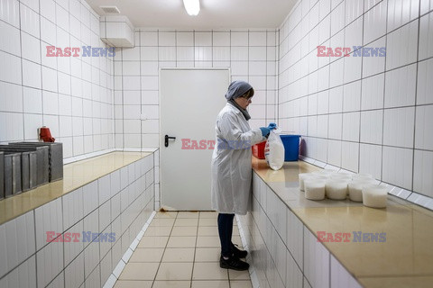 Produkcja koziego sera na Mazurach - AFP