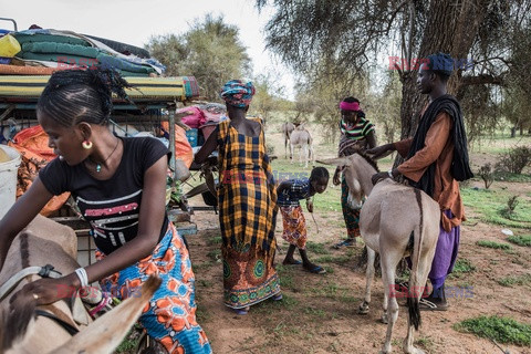 Pasterze z Senegalu - AFP