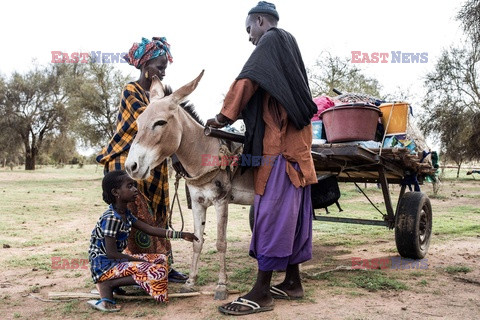 Pasterze z Senegalu - AFP