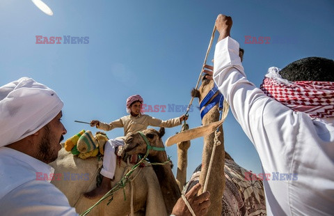 Pierwszy po 6 miesiącach wyścig wielbłądów w Egipcie