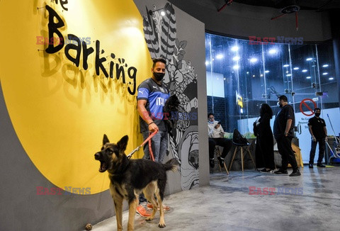 Barking Lot - pierwsza w Arabii kawiarnia dla pupili