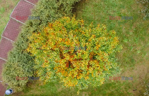 Jesień w warszawskich parkach