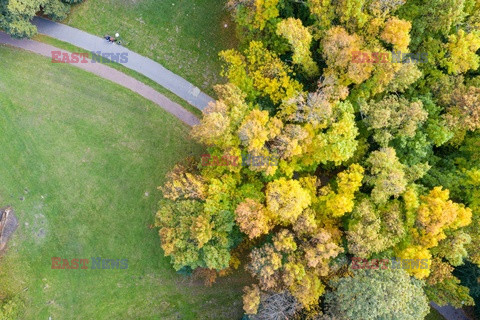 Jesień w warszawskich parkach