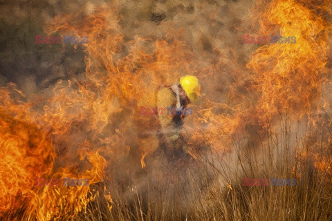 Pożary lasów w Argentynie