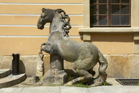 Polska RaJa