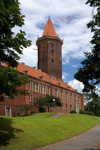 Polska RaJa