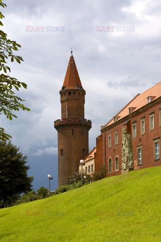 Polska RaJa