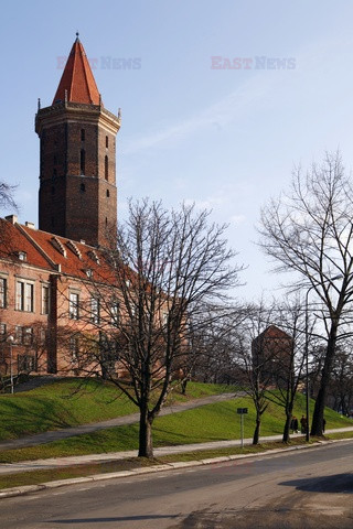 Polska RaJa
