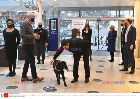 Księżna Camilla i psy wykrywające zapach choroby