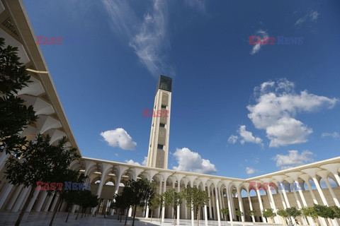 Wielki Meczet w Algierze
