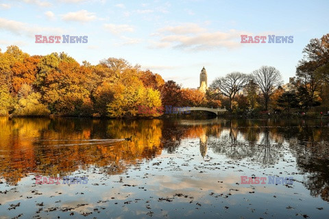 Nowojorski Central Park jesienią