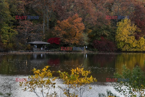 Nowojorski Central Park jesienią