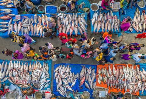 Nabanna - targ rybny w Bangladeszu