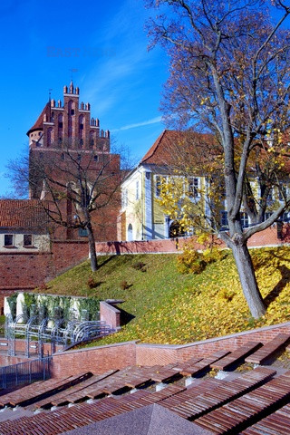 Polska RaJa