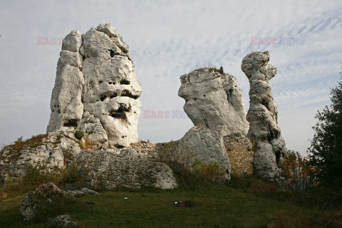 Polska RaJa