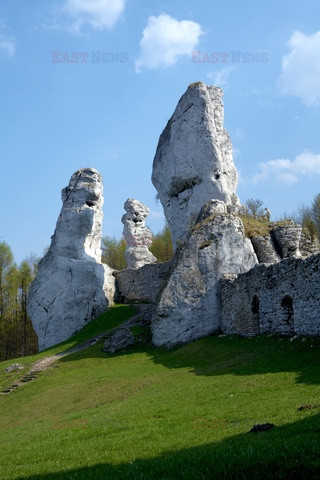 Polska RaJa