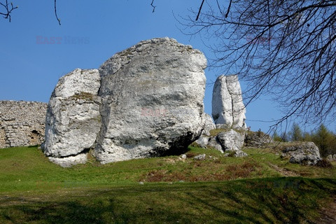 Polska RaJa