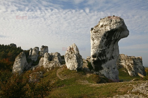 Polska RaJa