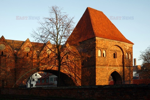 Polska RaJa