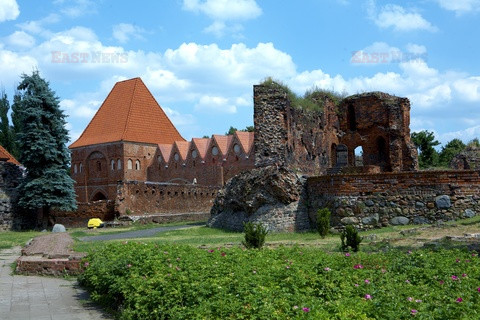 Polska RaJa