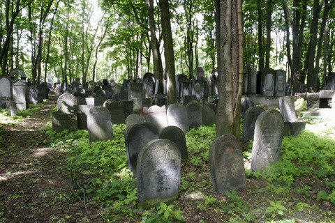 Polska RaJa