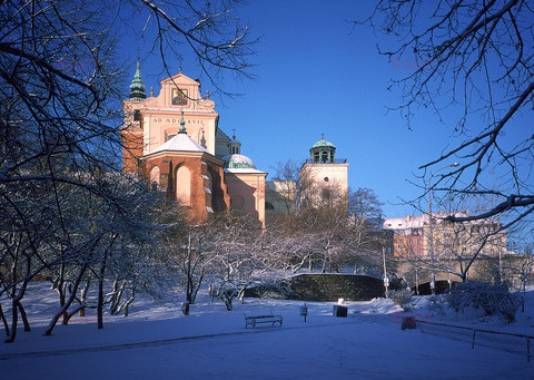 Polska RaJa